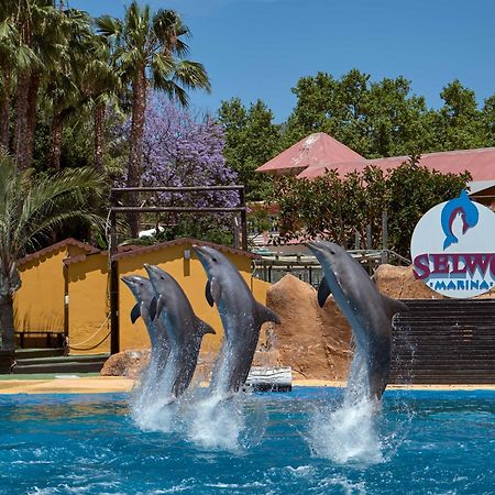 Apart With Swimming Pool Open All Year Benalmádena Exteriör bild