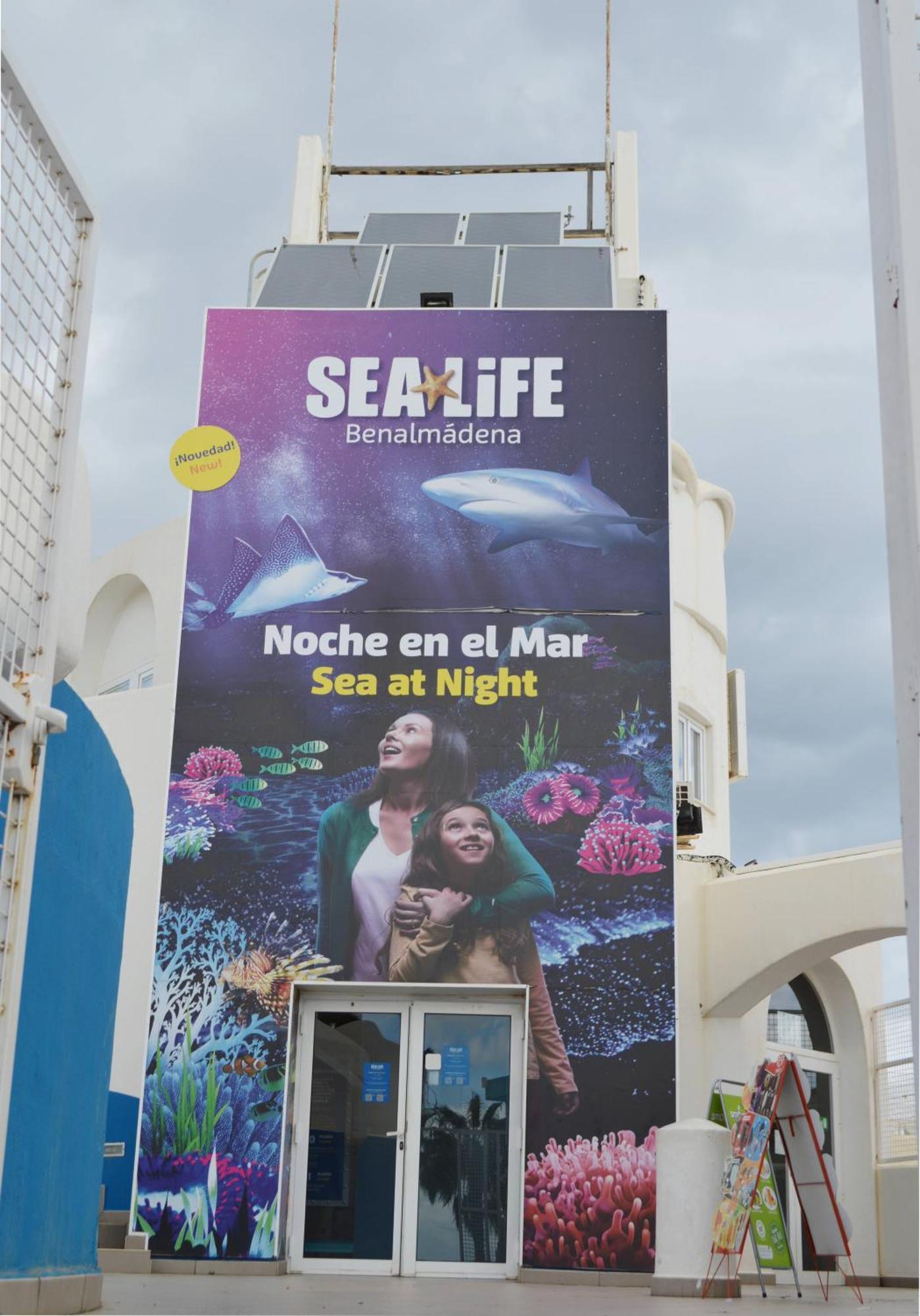 Apart With Swimming Pool Open All Year Benalmádena Exteriör bild